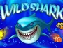 Wild Shark Vavada